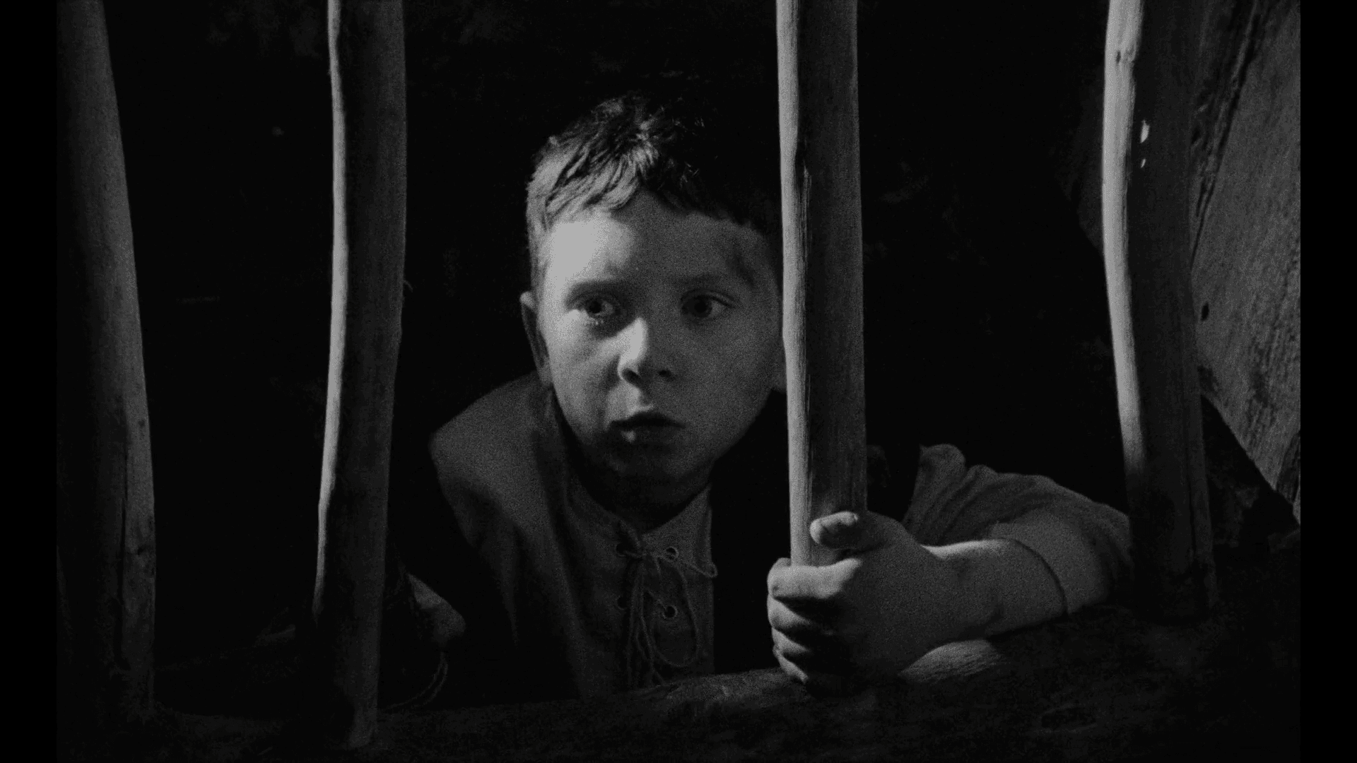 Tourism Ireland: Home of Halloween
